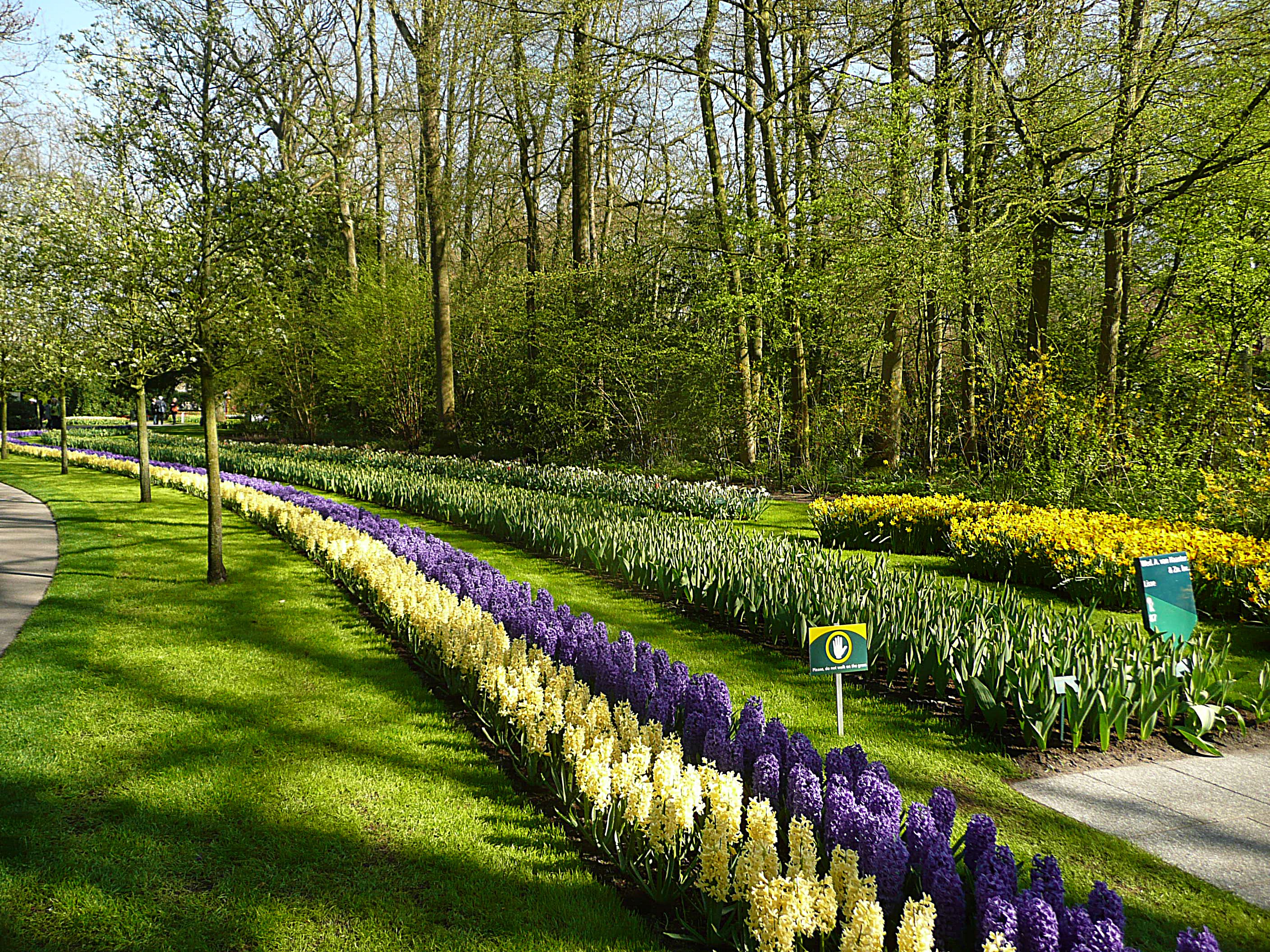 Keukenhof 9