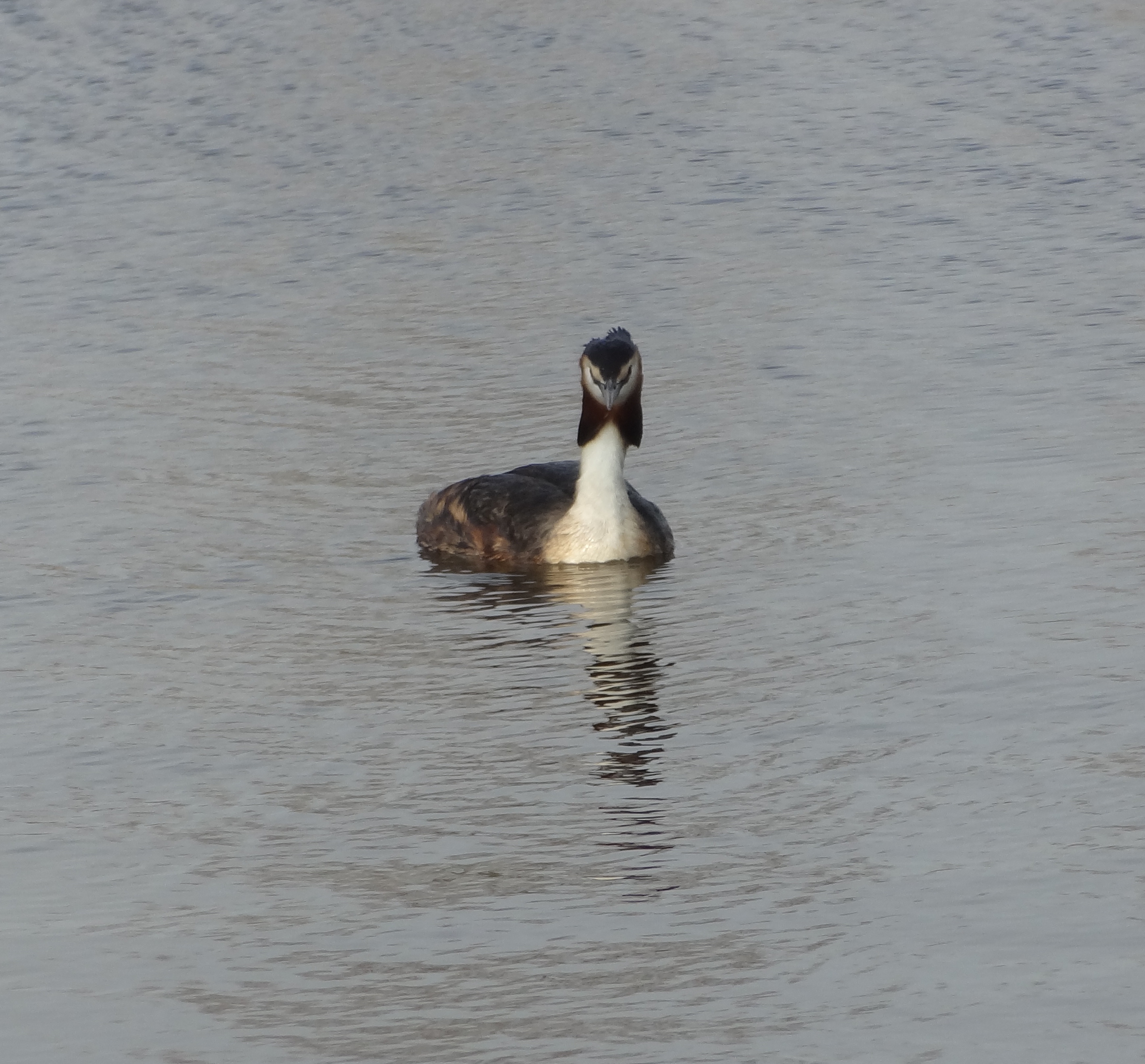 Wat een grappig snuitje!
