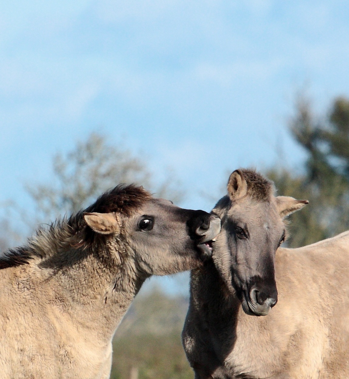 Toch pottenkijkers hier