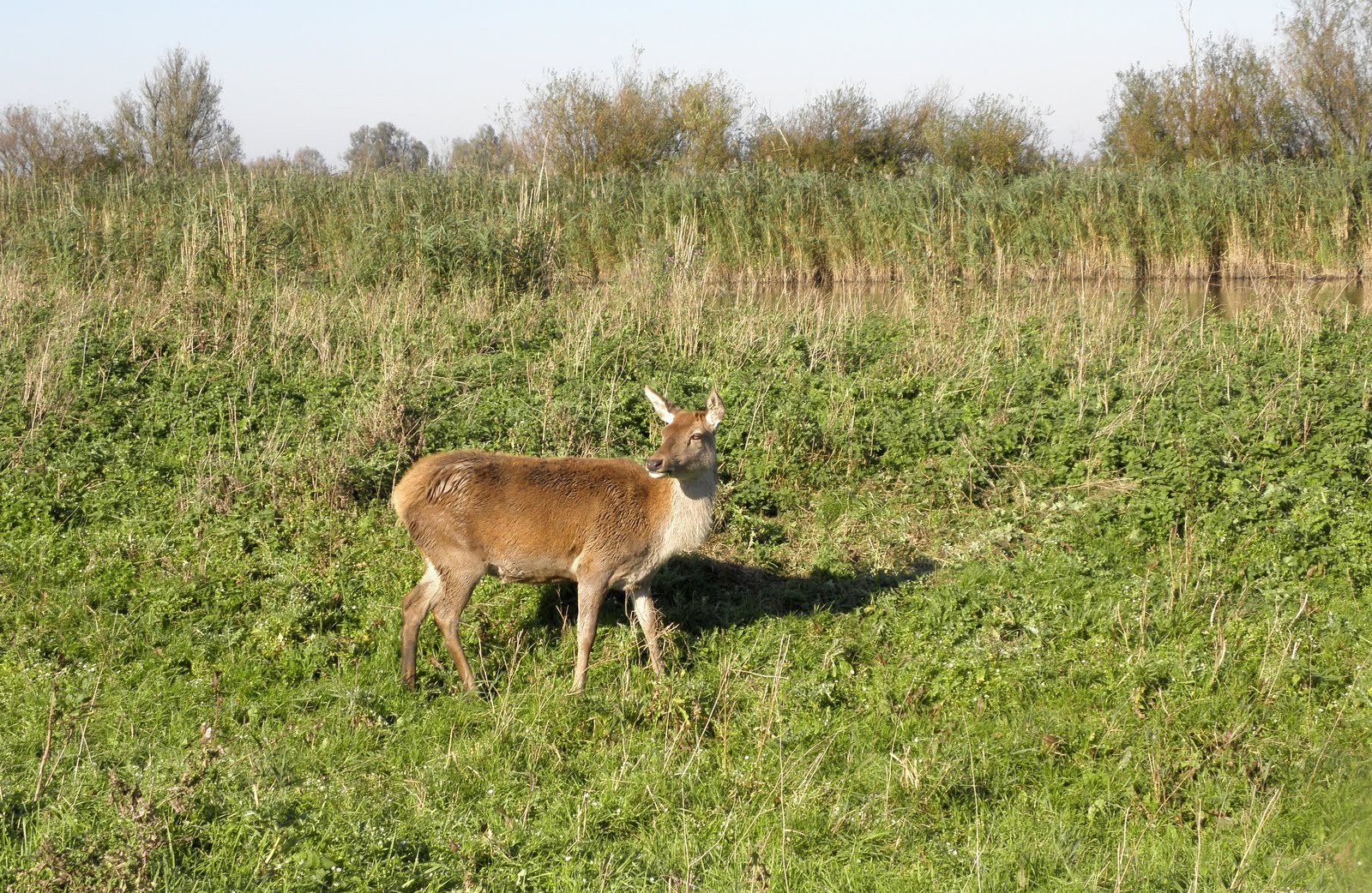 Ook dit kan in de OVP