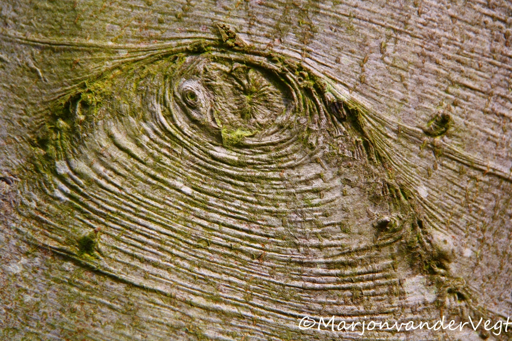 je moet er oog voor hebben..