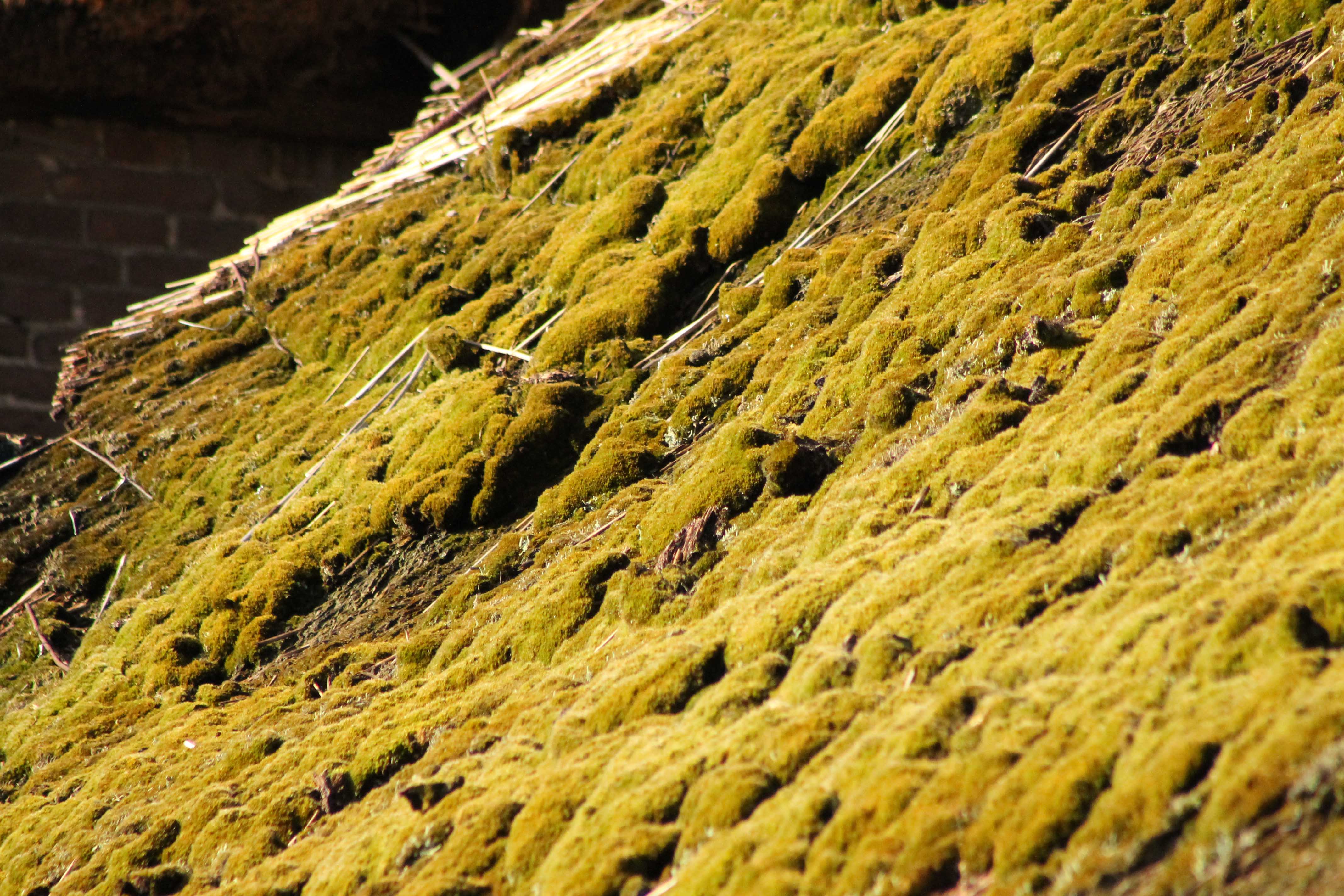 Ra,ra.. Wat is dit??