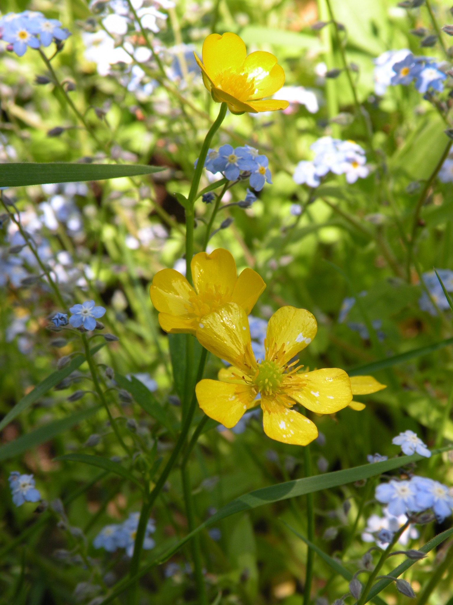 28 mei de zon schijnt