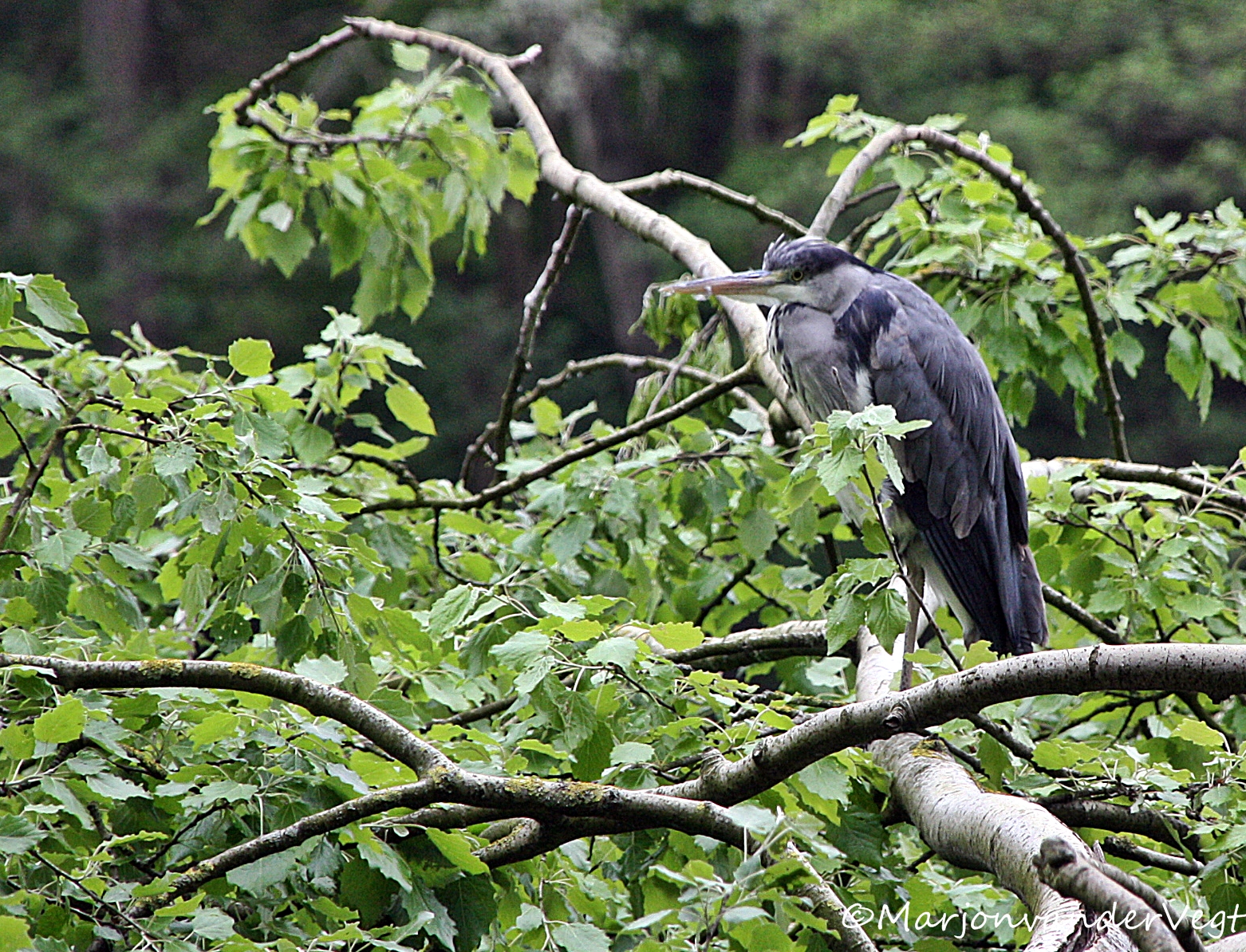 Ik zit waar ik zit..