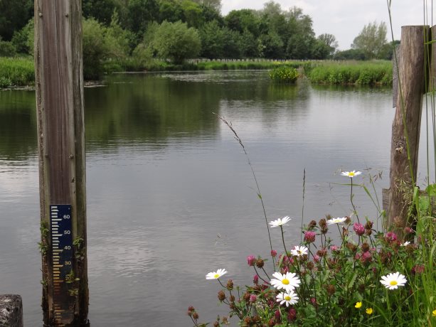 Plaatje van Westerveld Zwolle