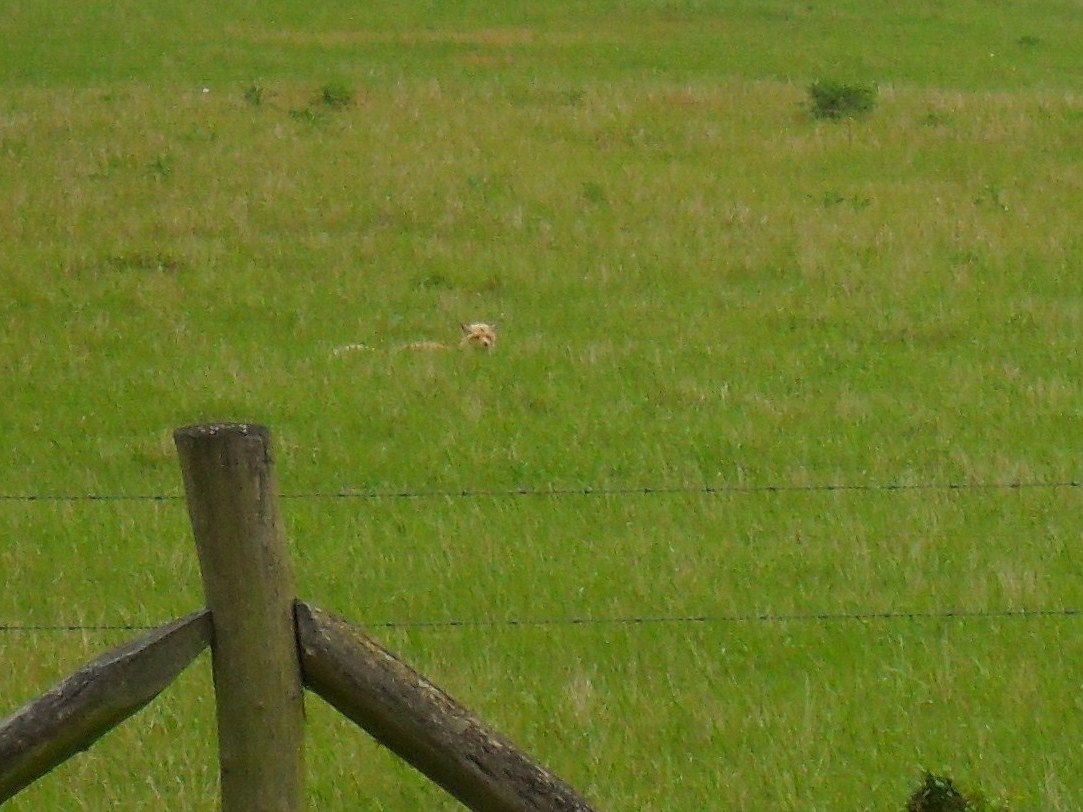 weg gedoken in...