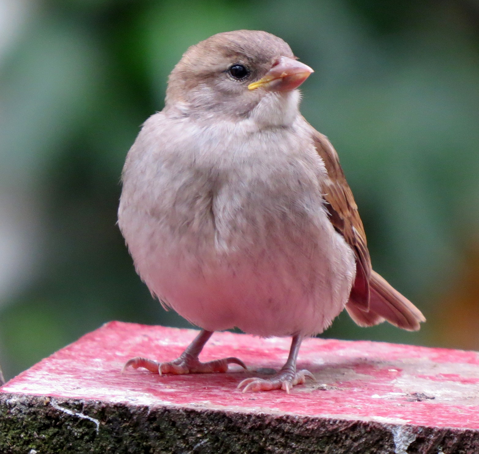 Maak je om mij maar geen zorgen!
