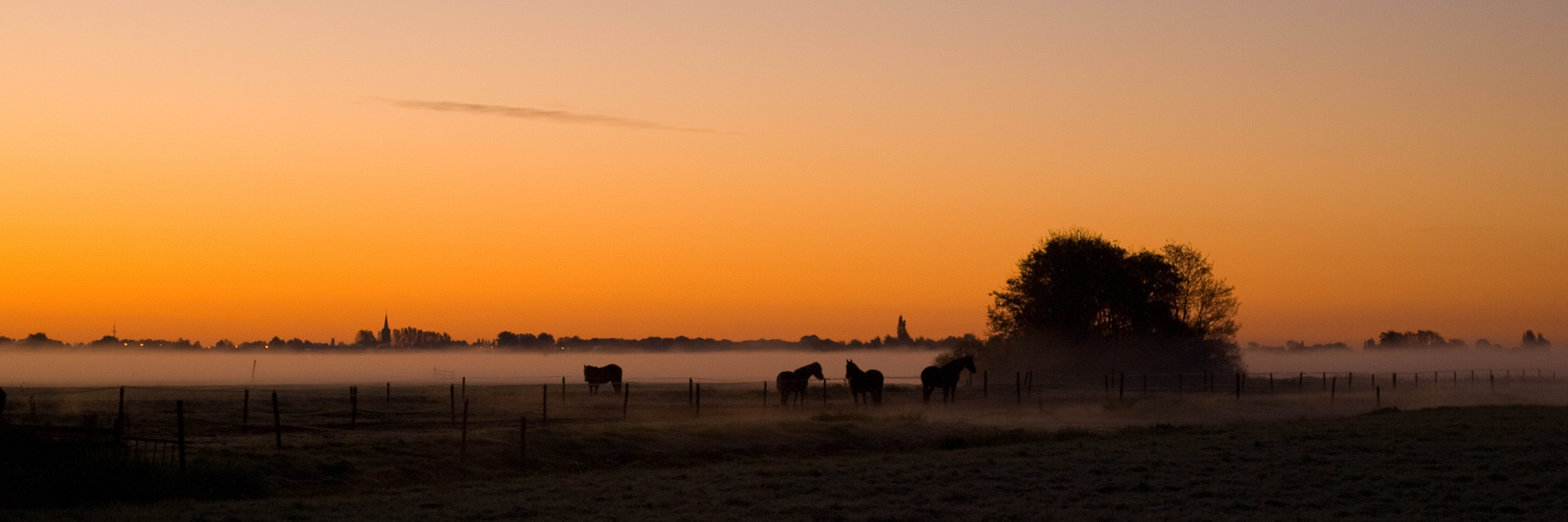 Ochtend horizon