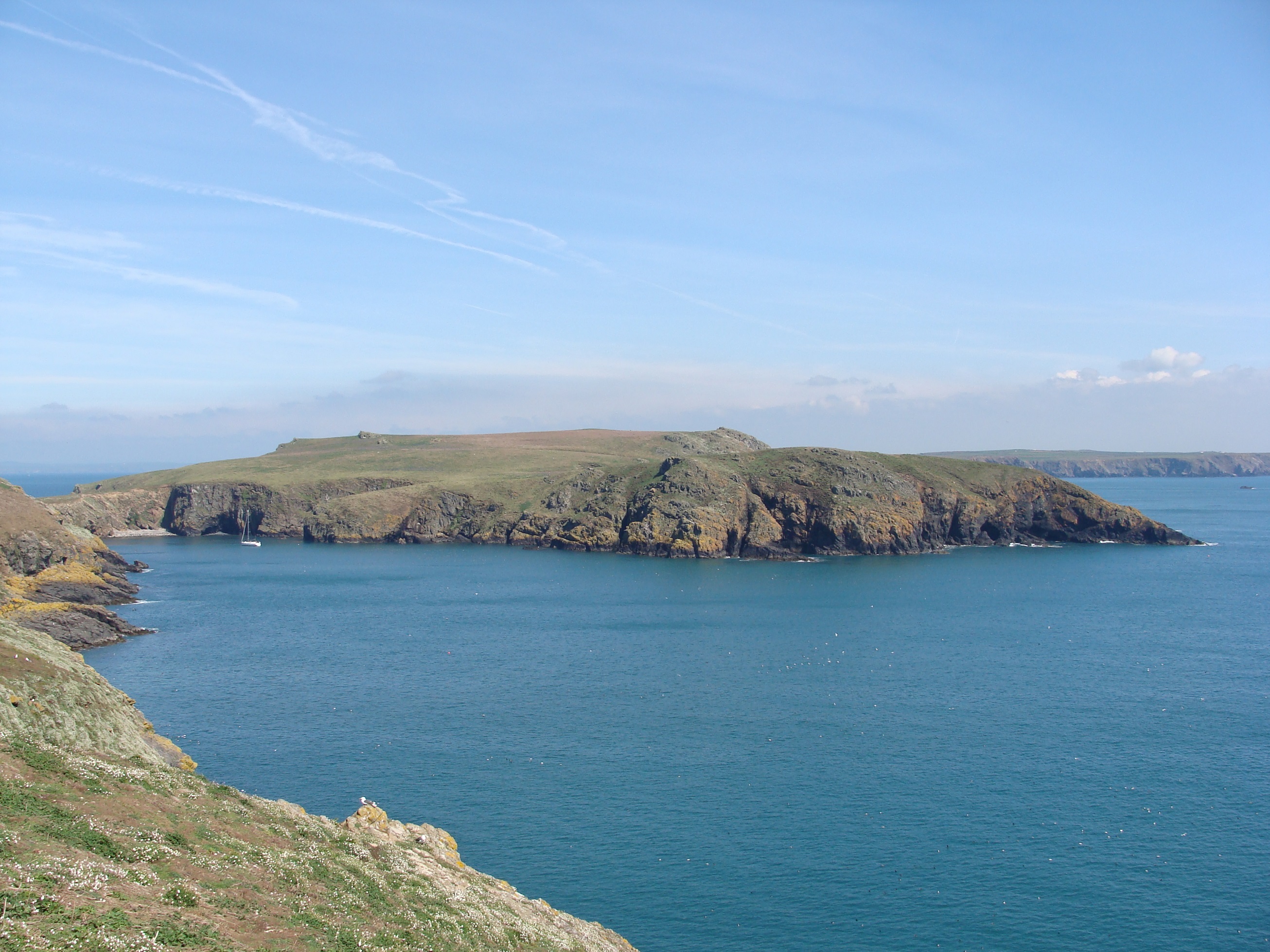 Skomer Island