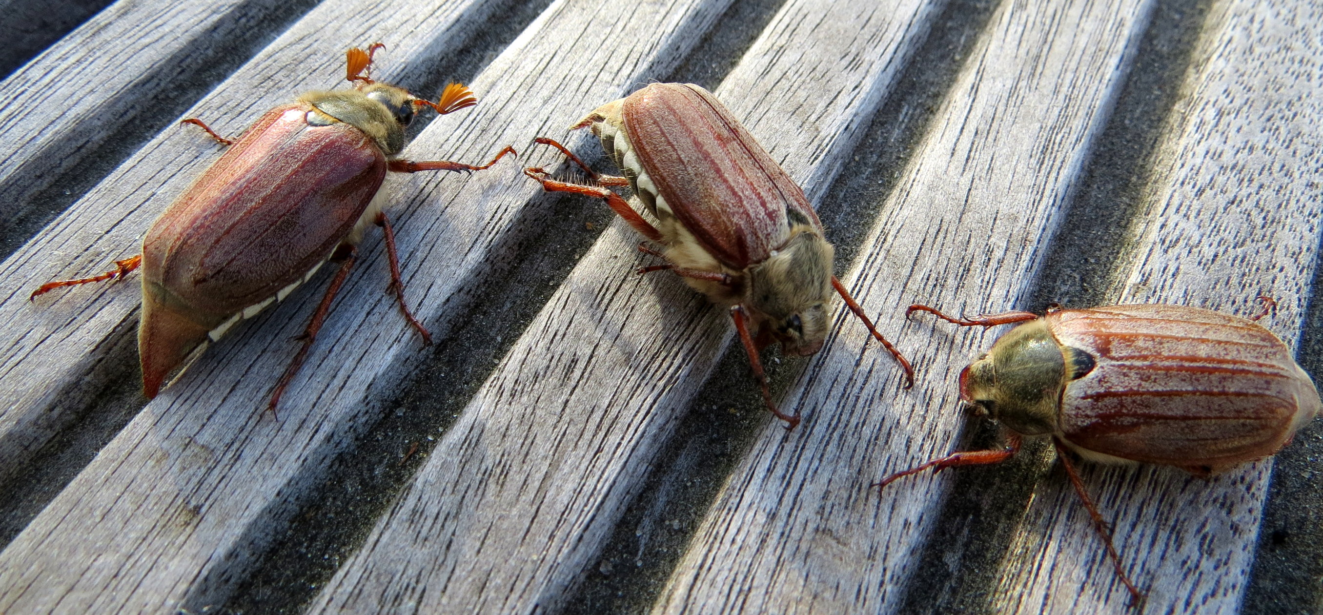 Samen ben je nier alleen!