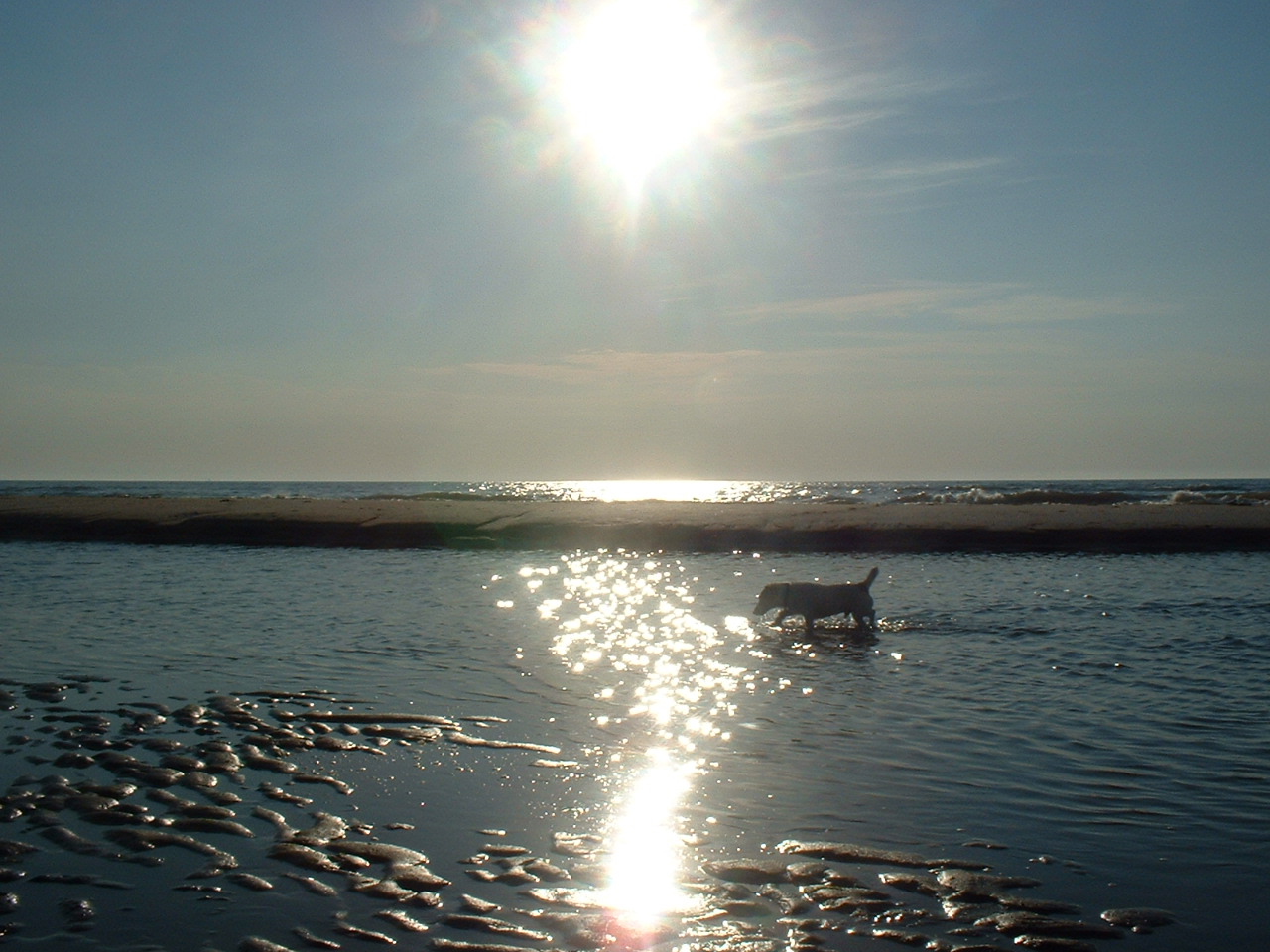 Einde van een mooie dag