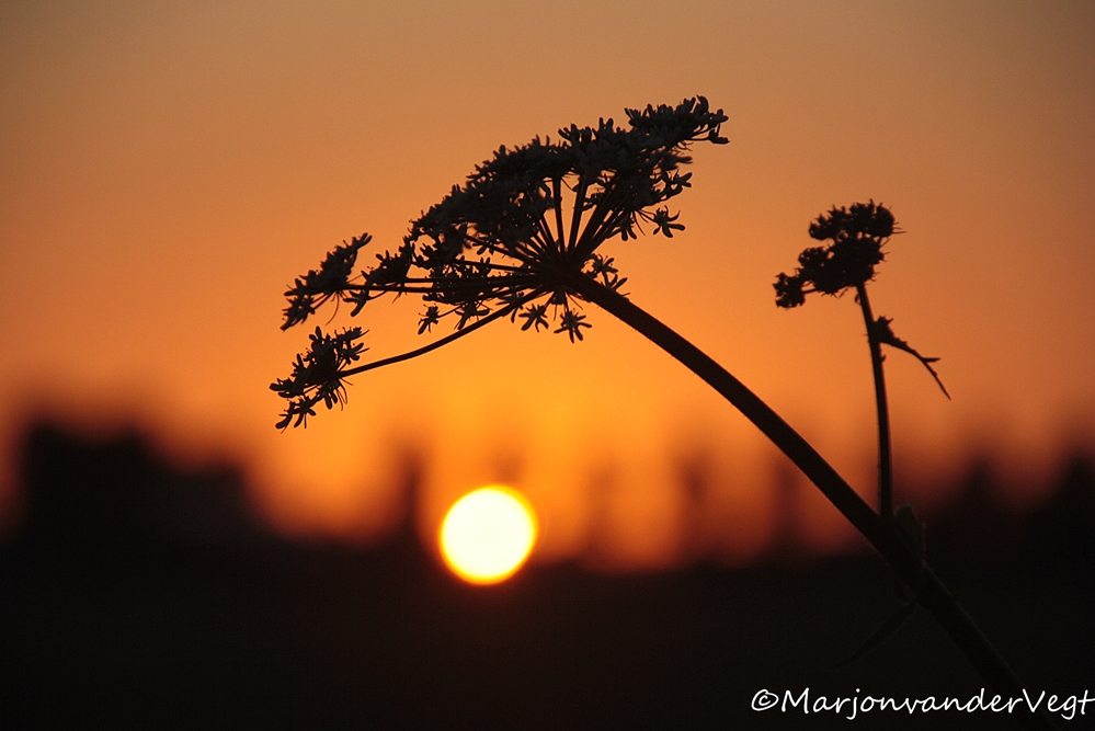 Zonsondergang