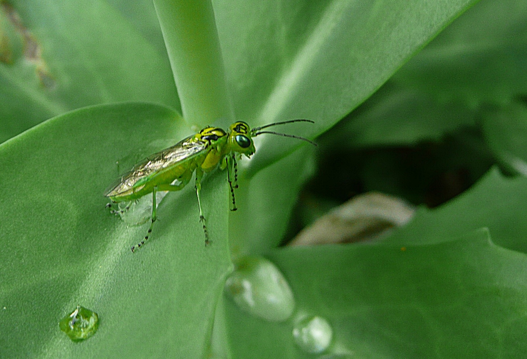 Al aardig opgedroogd