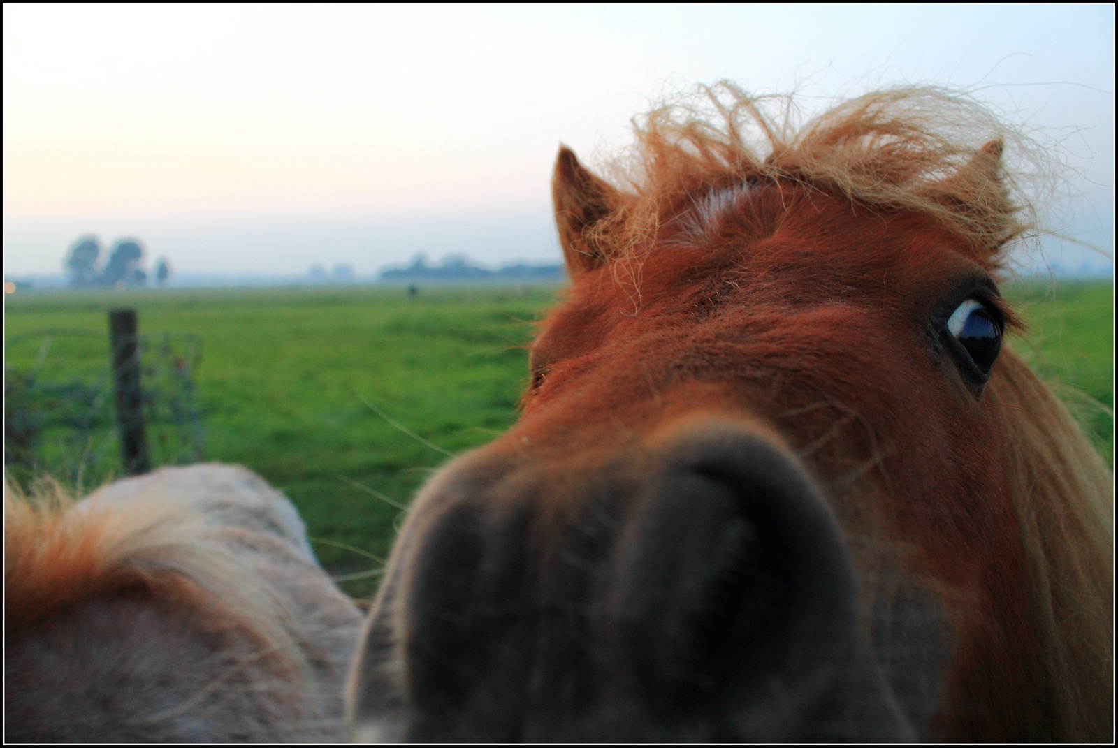 Zonsondergang 29-08-13.