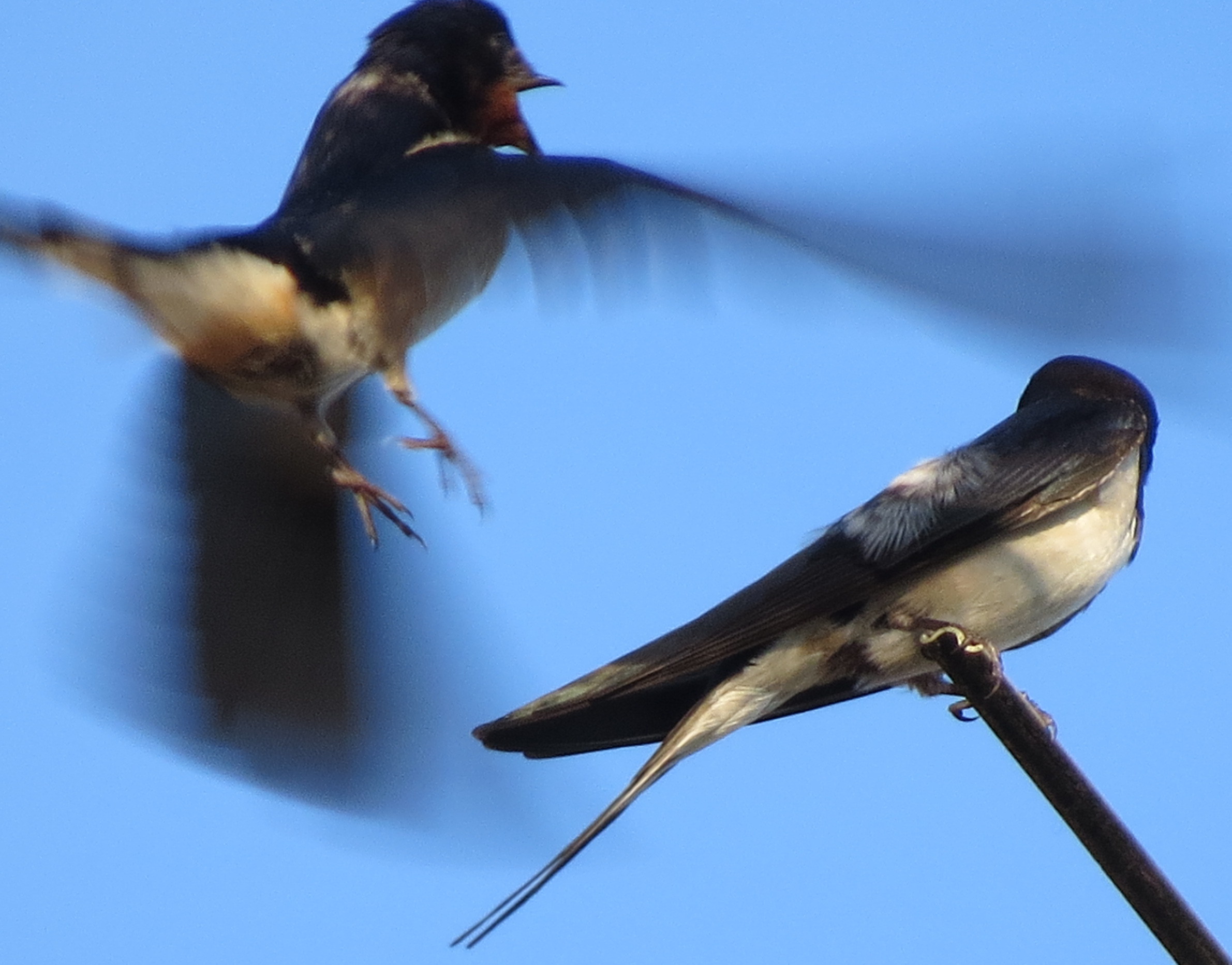 Van achtereeeen....!