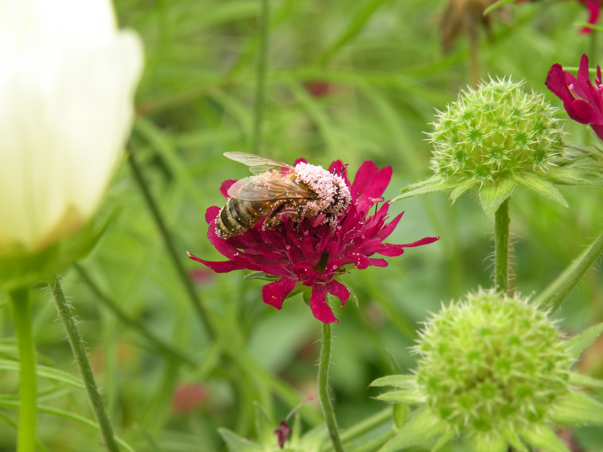 Bij zit helemaal onder..