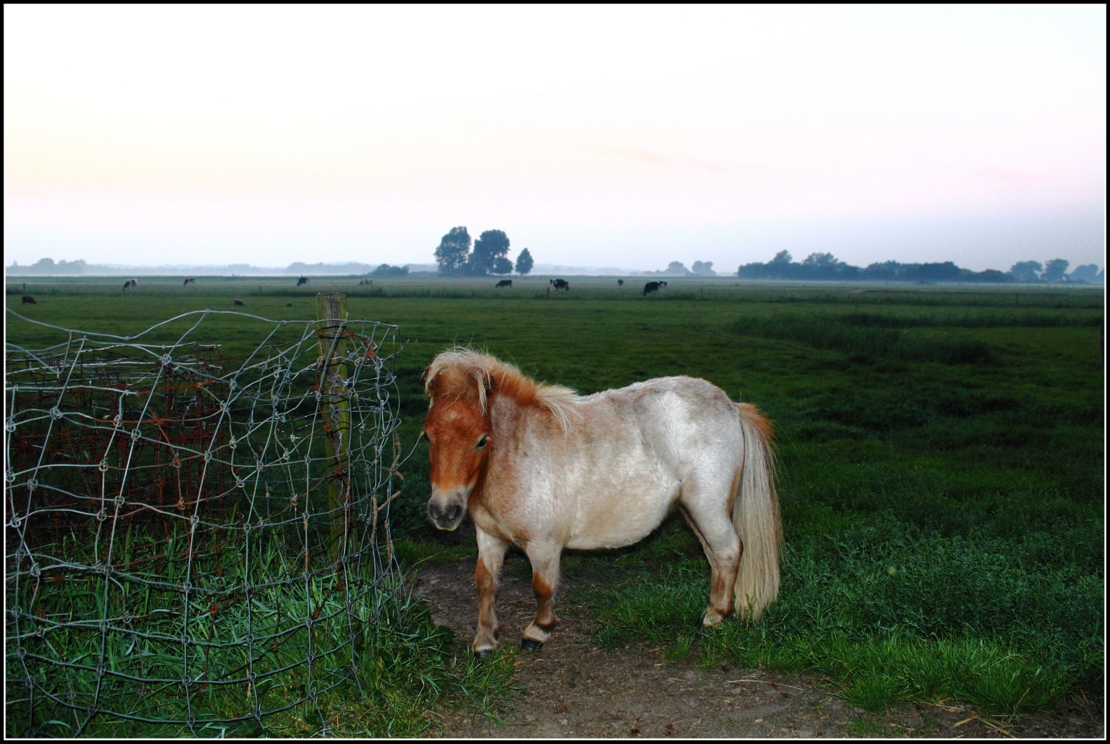 Zonsondergang 29-08-13.