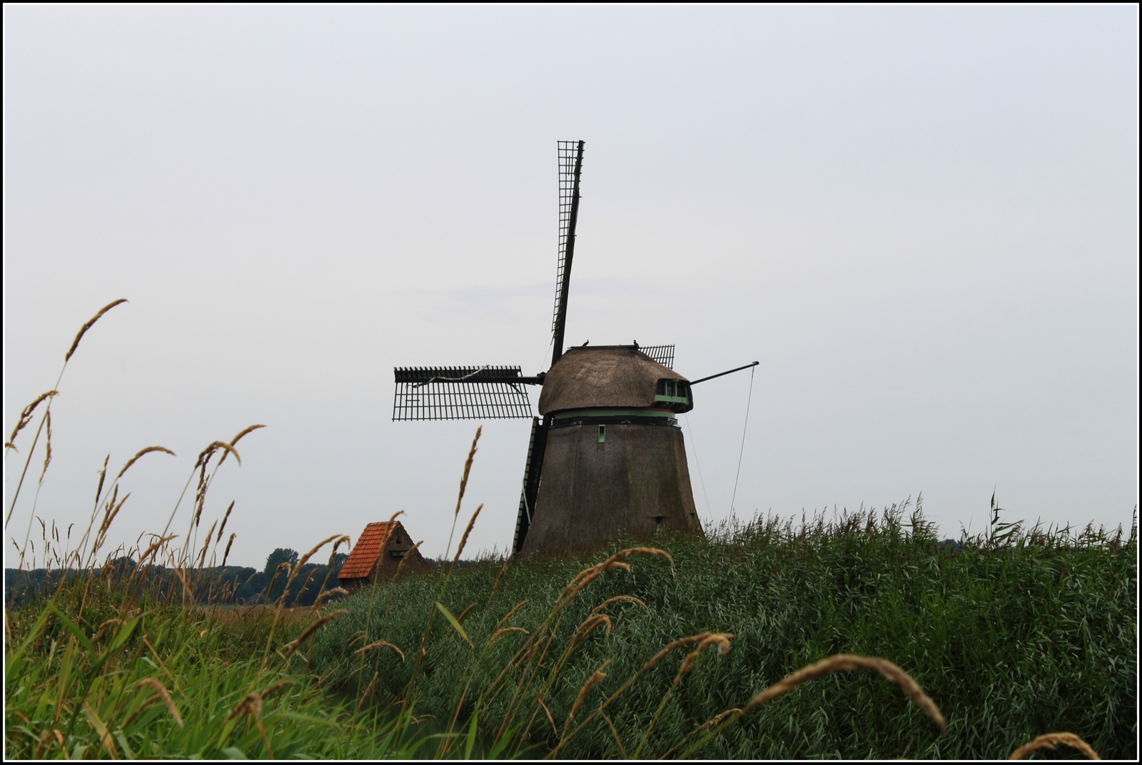 Philisteinsche Molen.