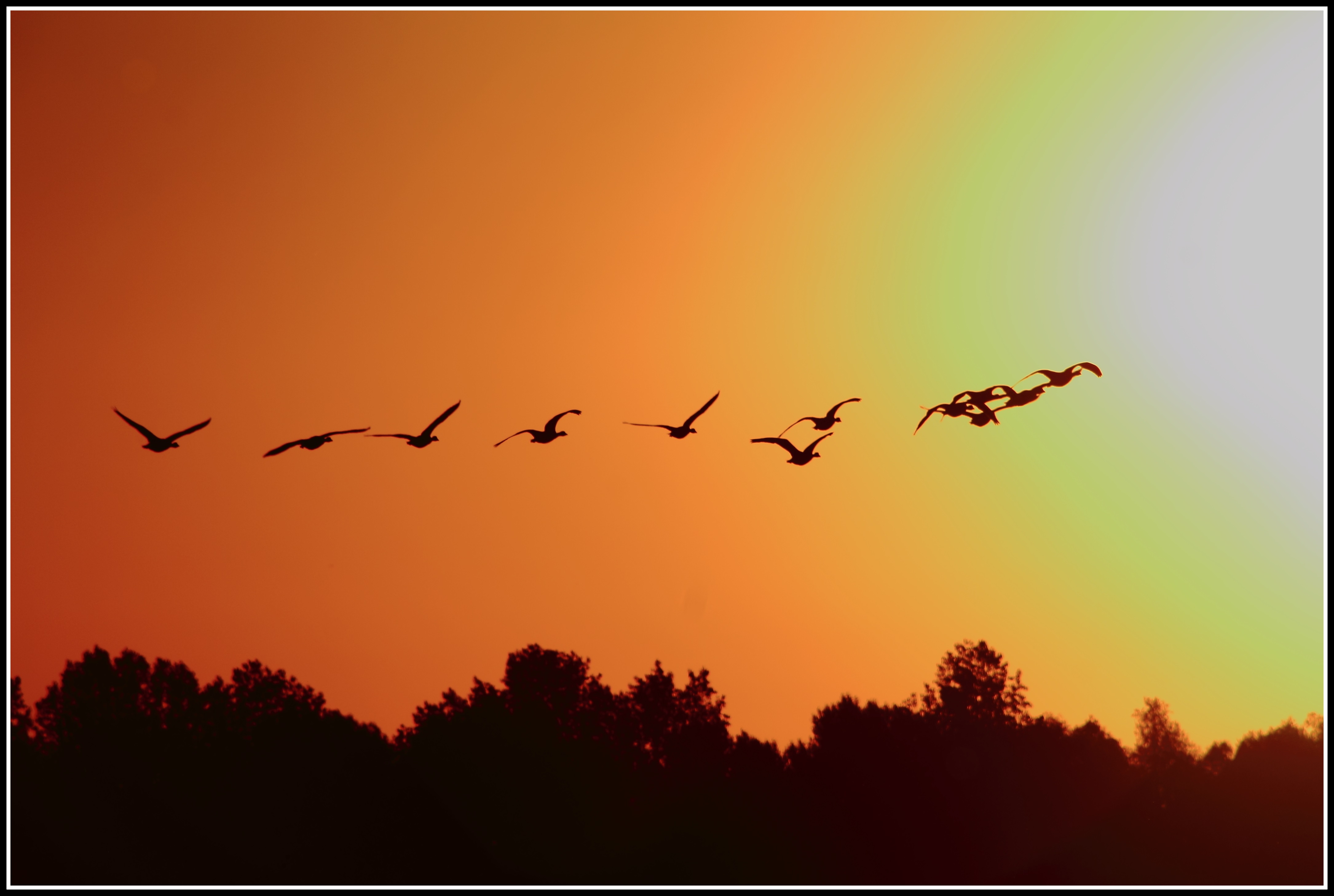 Begin van een zomerse dag.