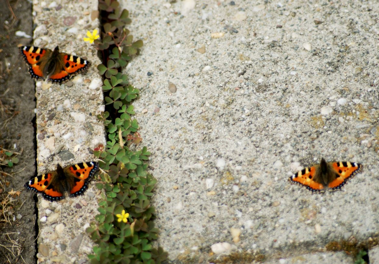 warm plaatsje gezocht