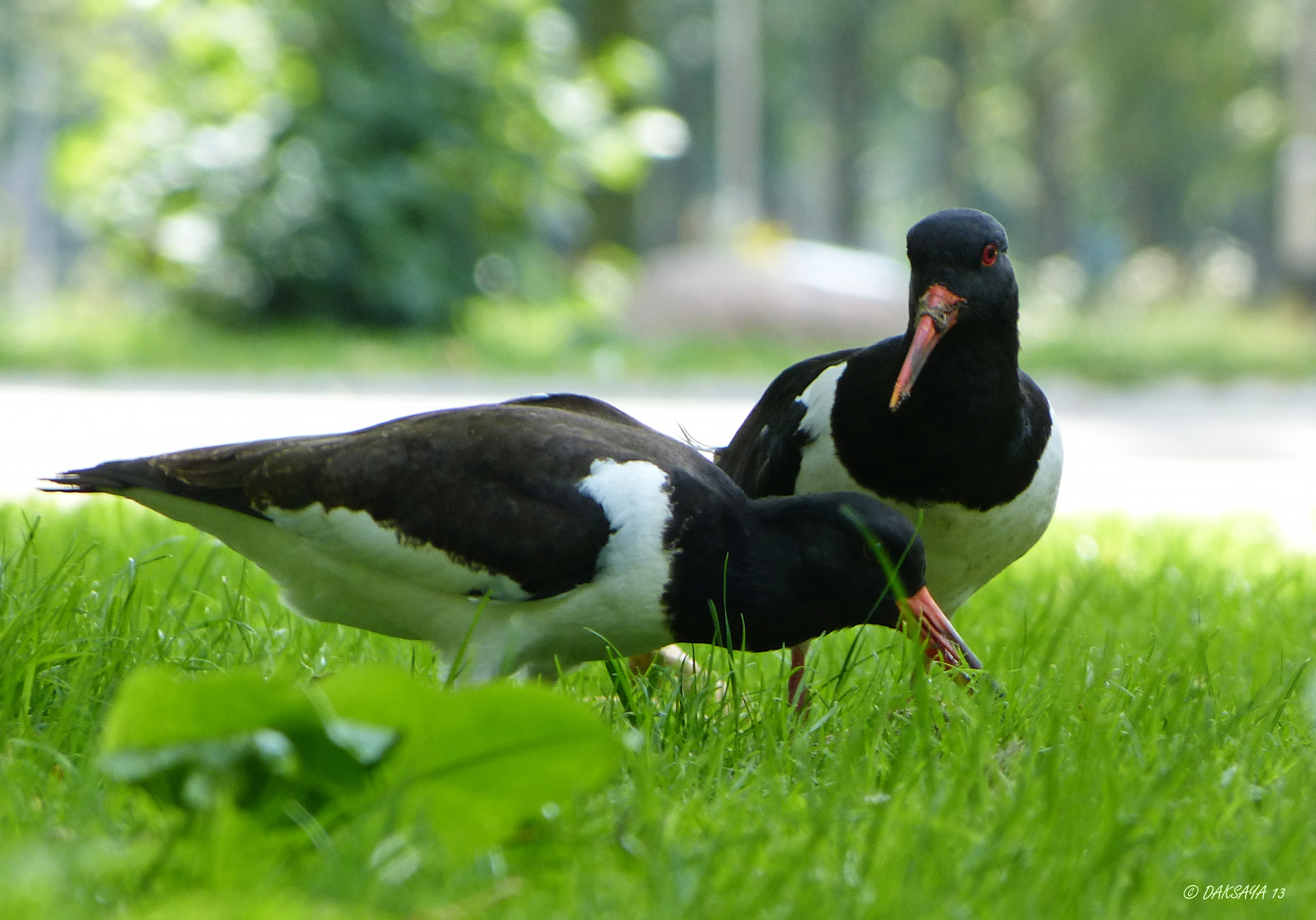 Ouder en kind