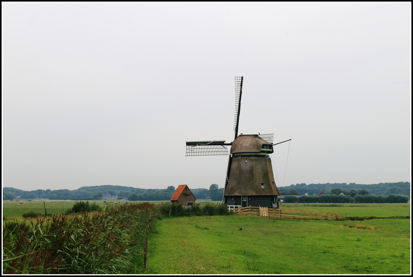 Philisteinsche Molen.