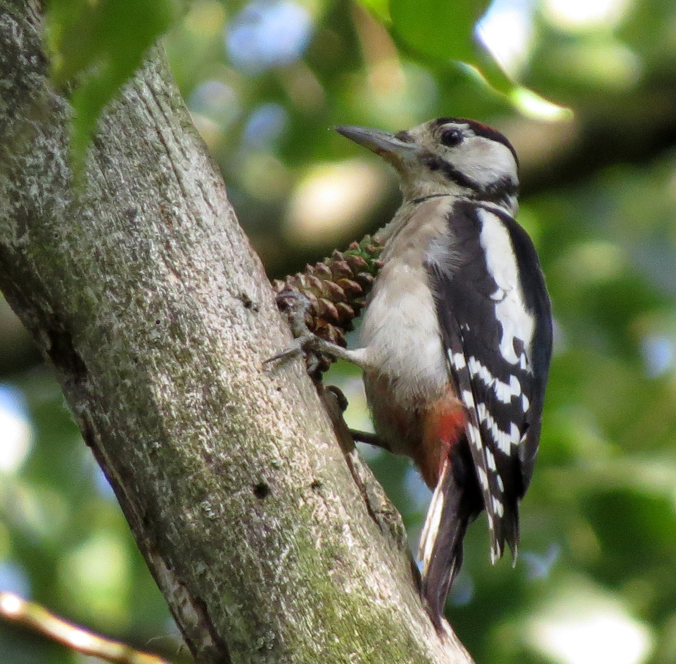 Hoe deed mama dat nou?