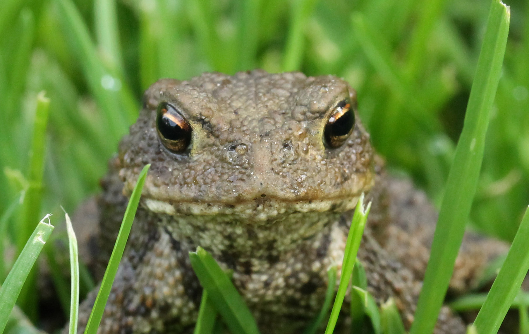 Ben ik knap of niet?