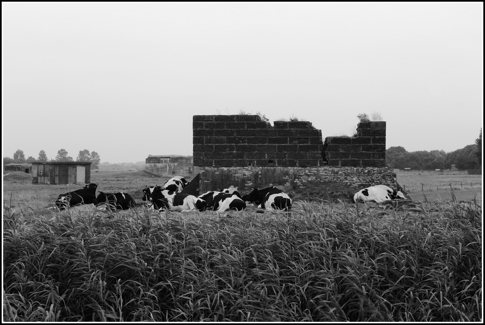 Bunker in Bergermeerpolder.