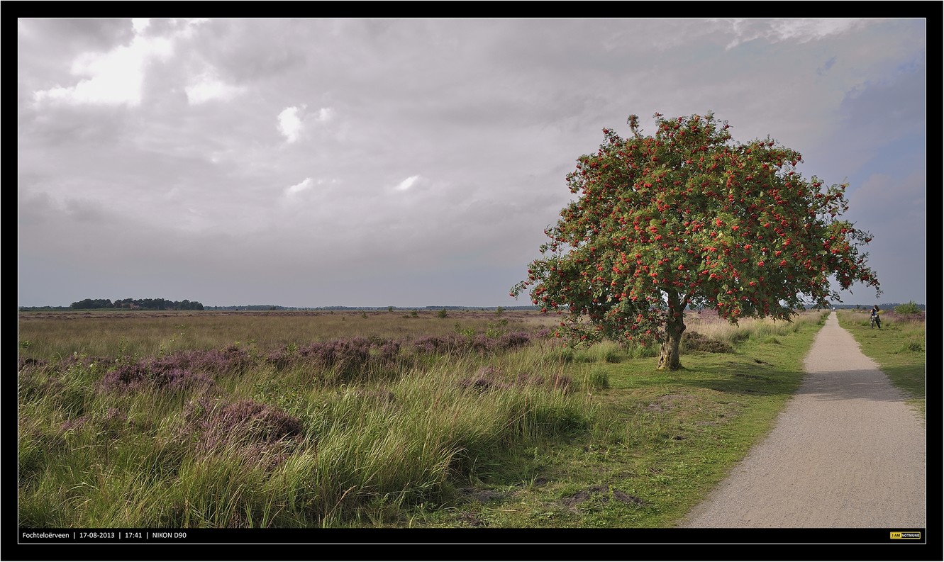 Fochteloërveen.....