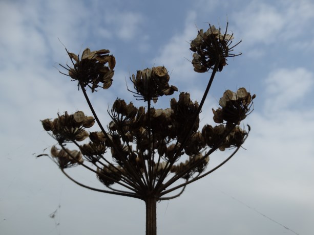 Afscheid van de zomer!