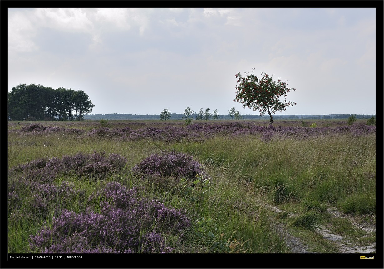 Fochteloërveen.....
