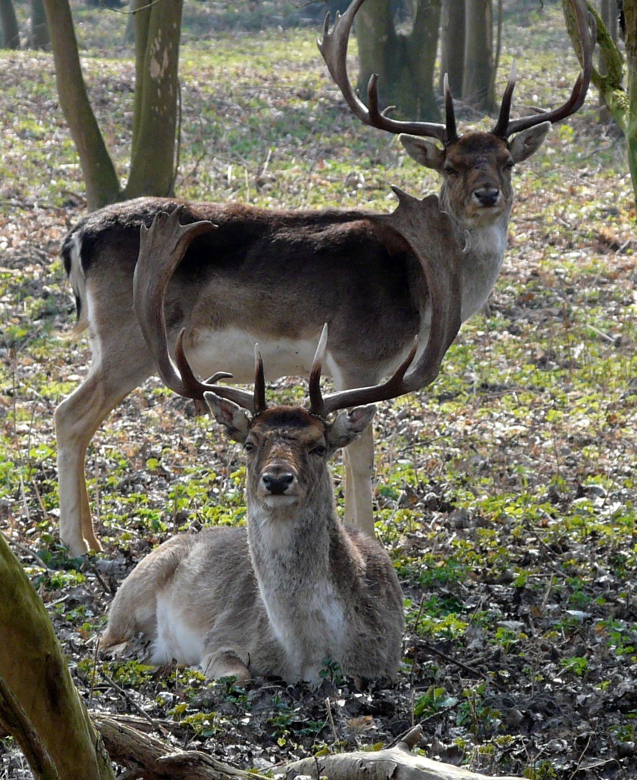 Klaar voor de bronsttijd
