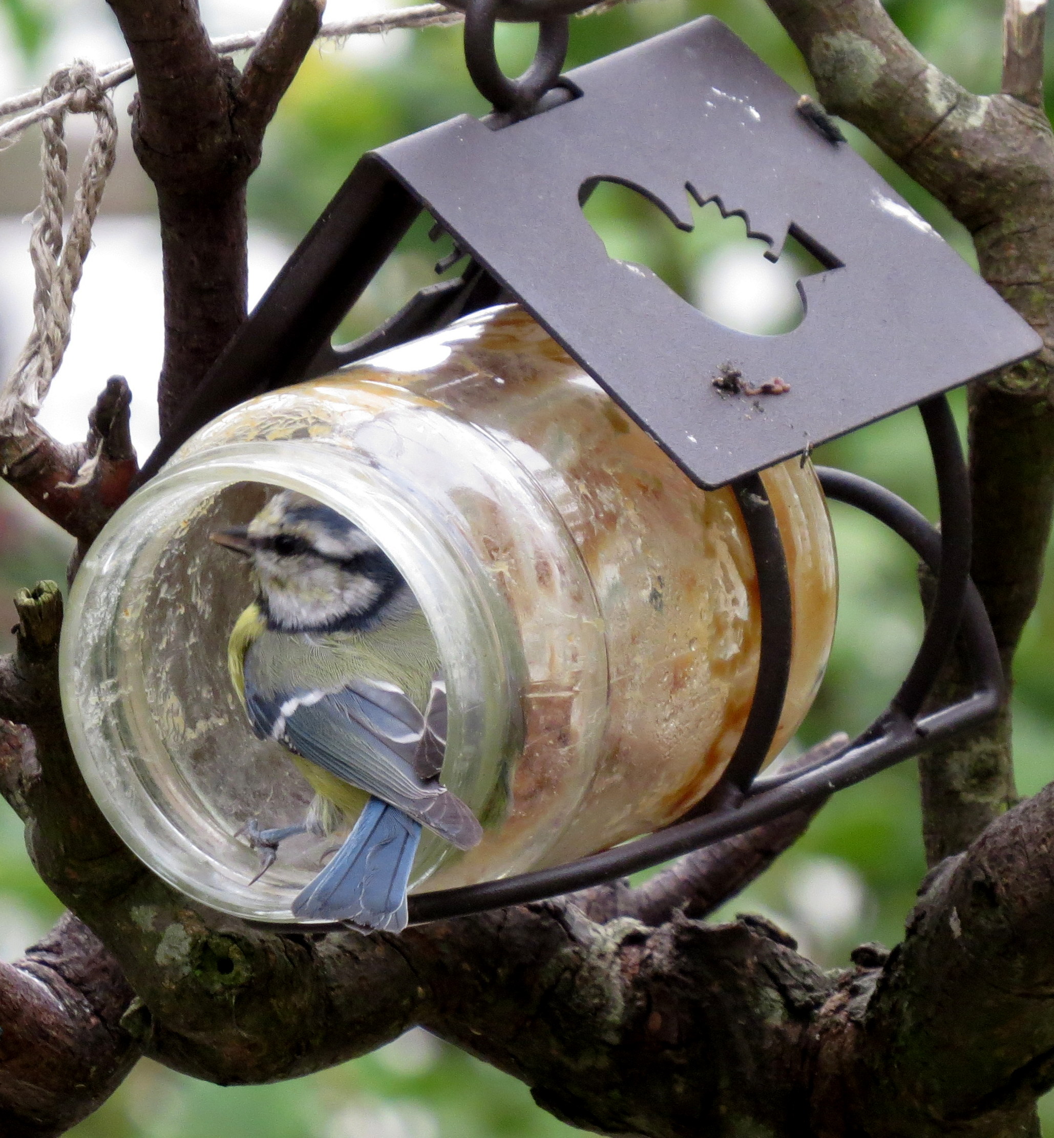 Pindakaas...wie is er niet groot mee geworden!