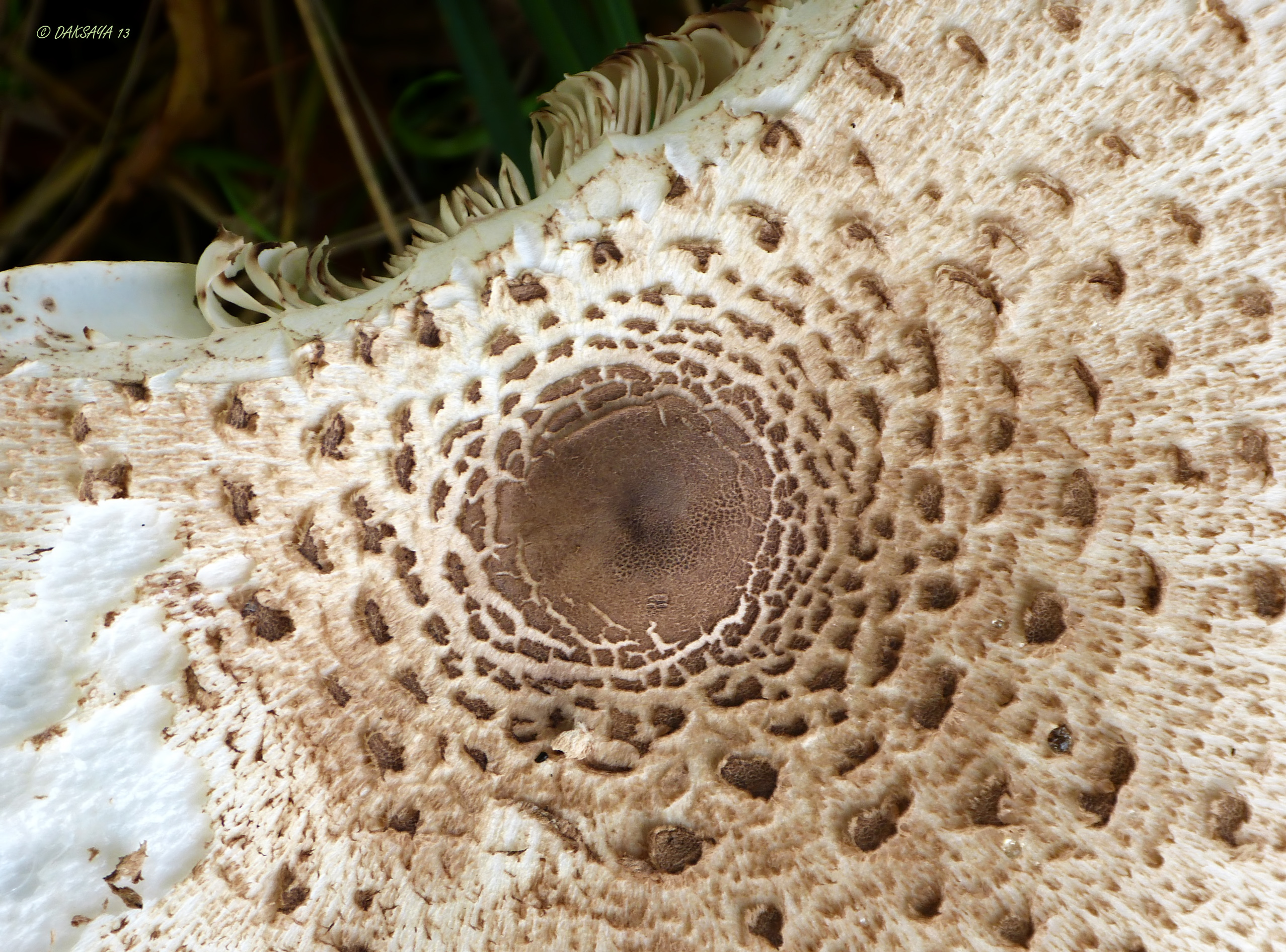 Stuk detail