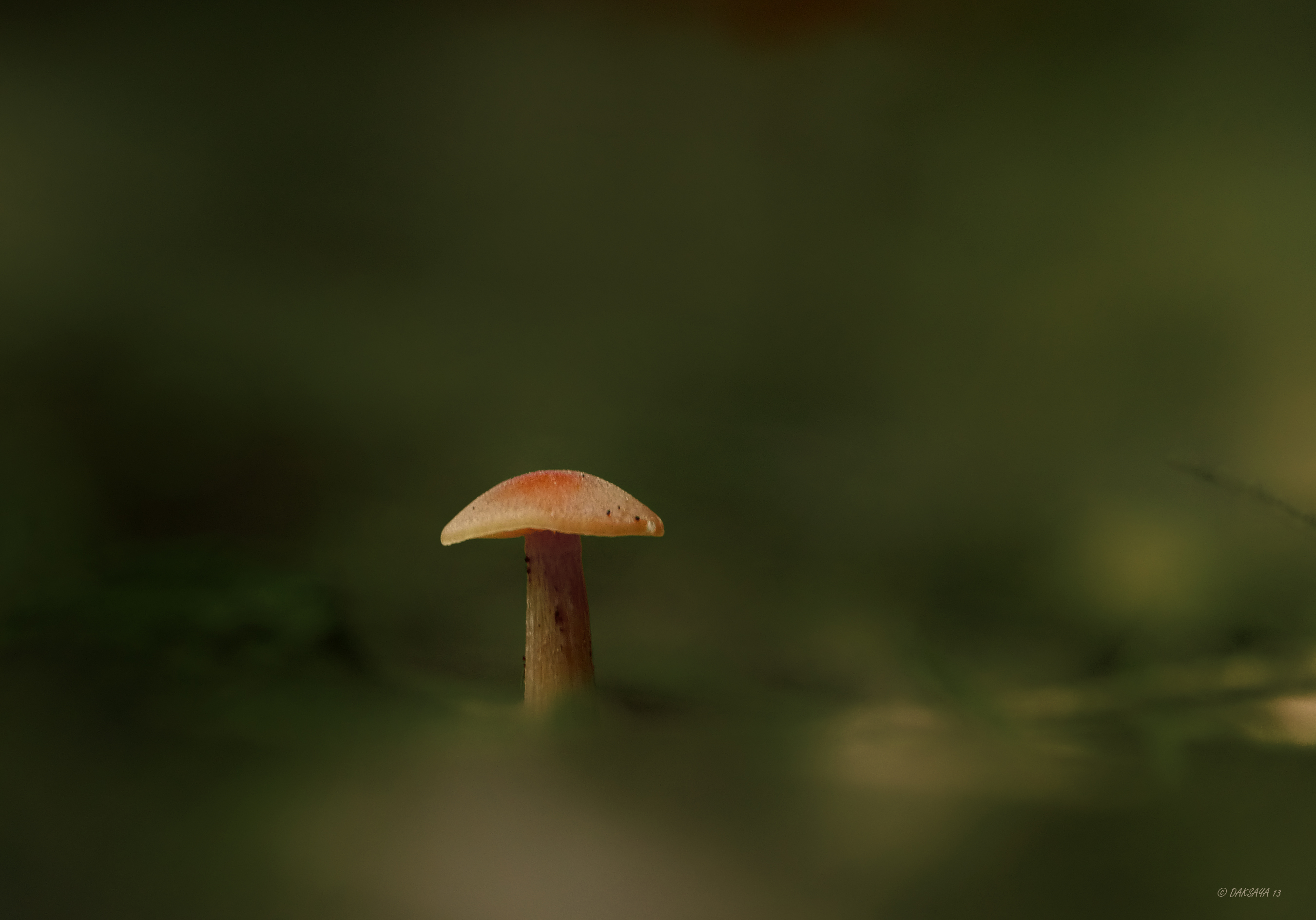 In the dark
