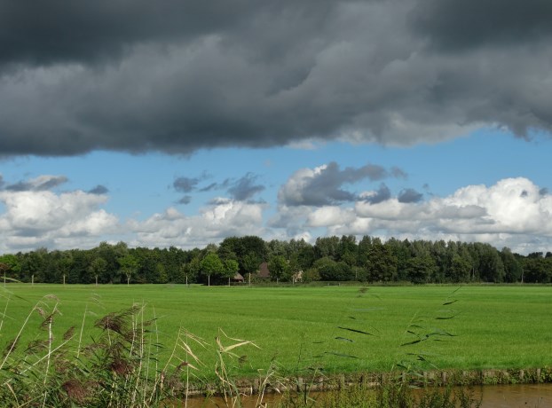 Landschap
