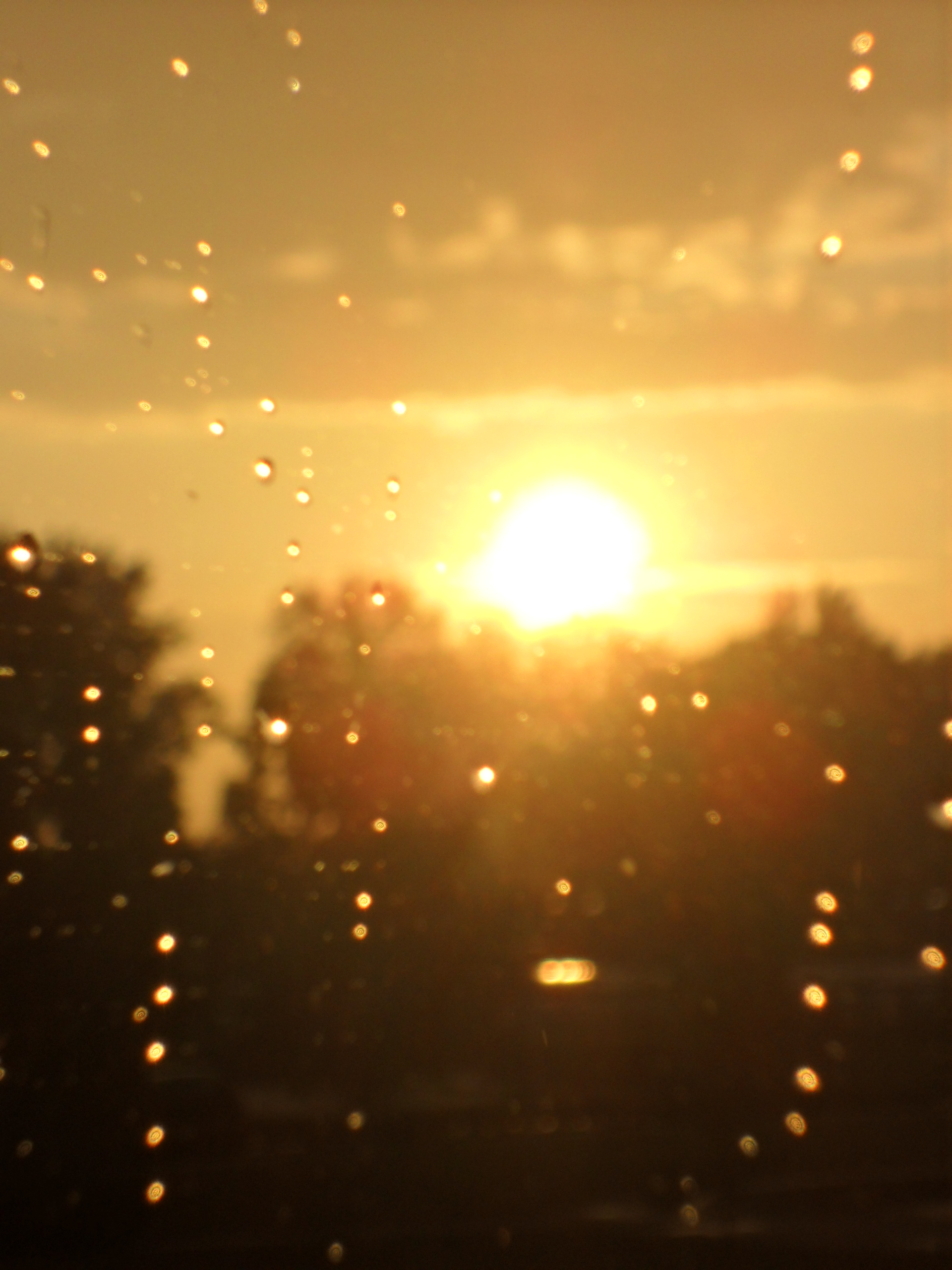 Na regen komt.............