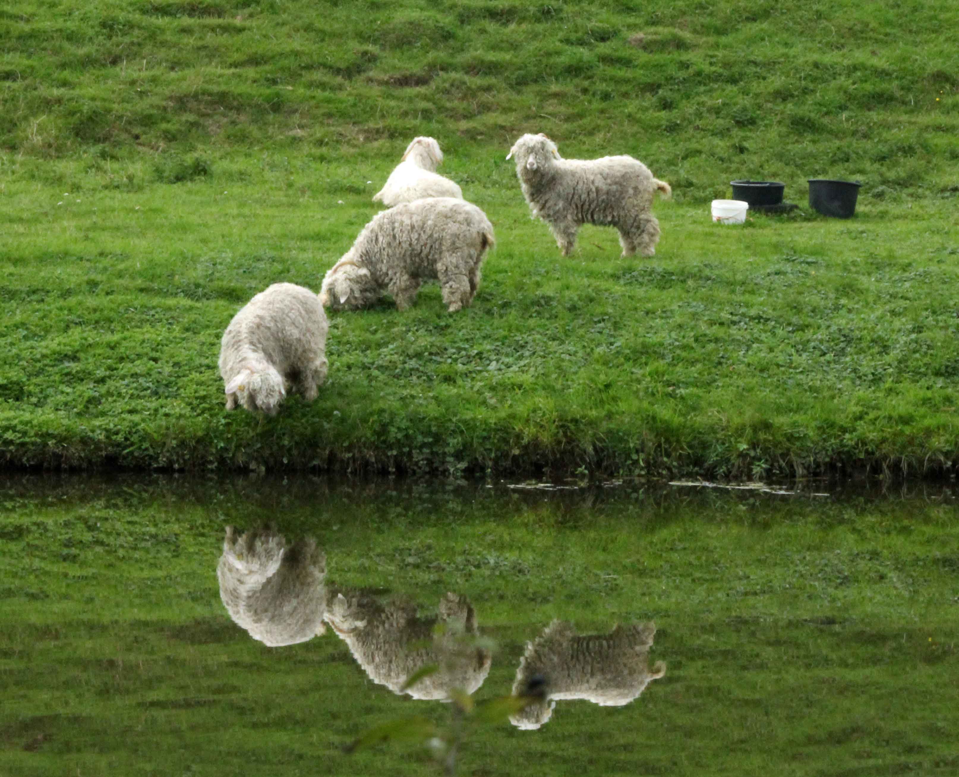 Vreemde reflecties (2)
