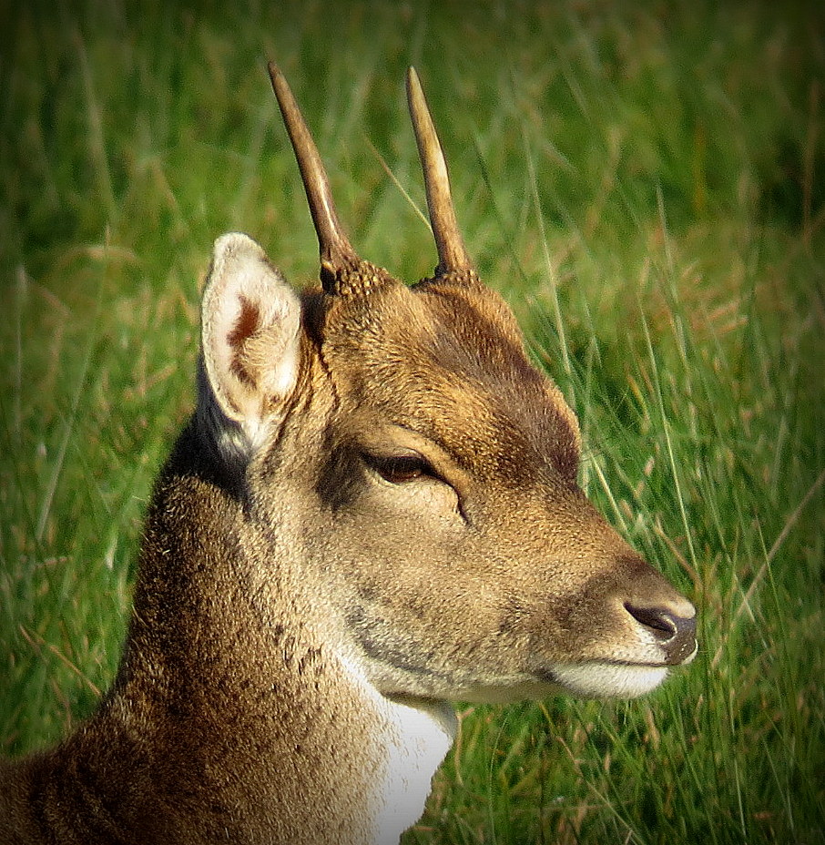 Lekker genieten in het zonnetje