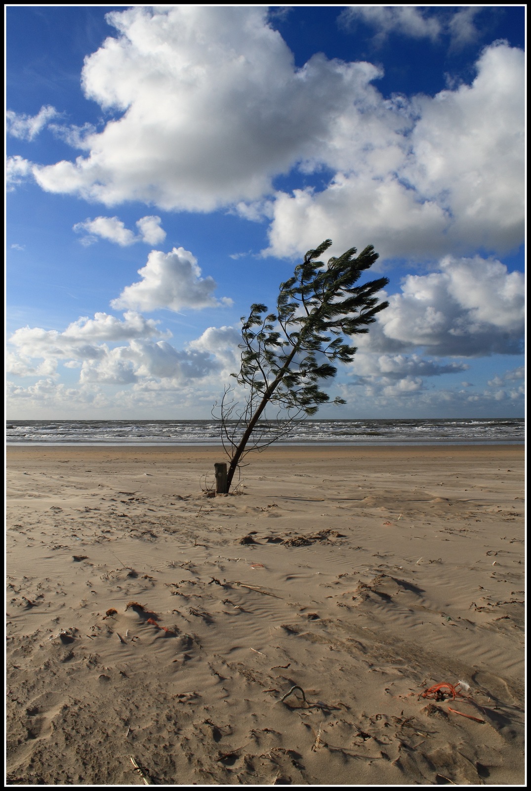 Eenzaam op het strand.