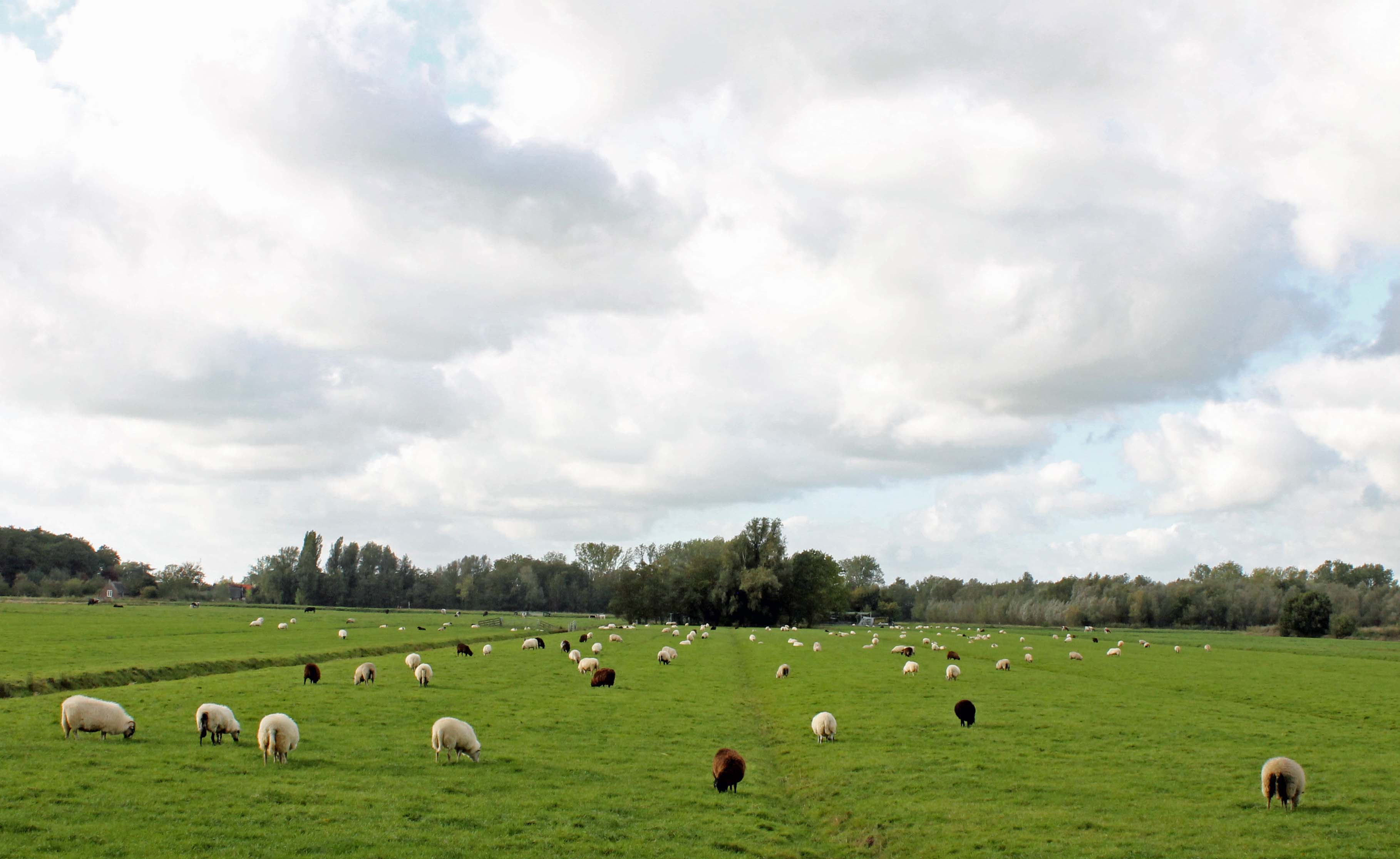 Voor wie slecht slaapt