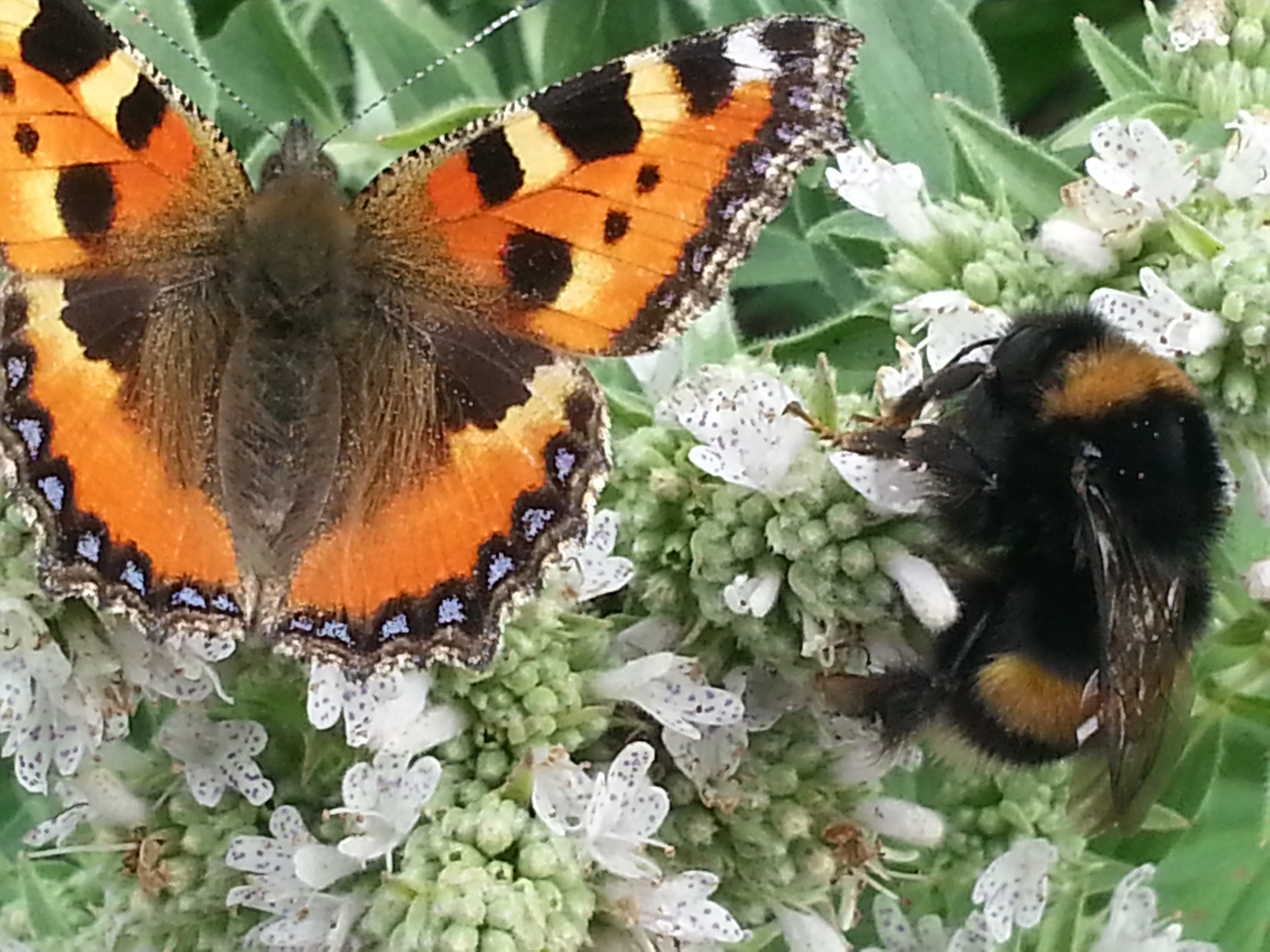 Samen delen...
