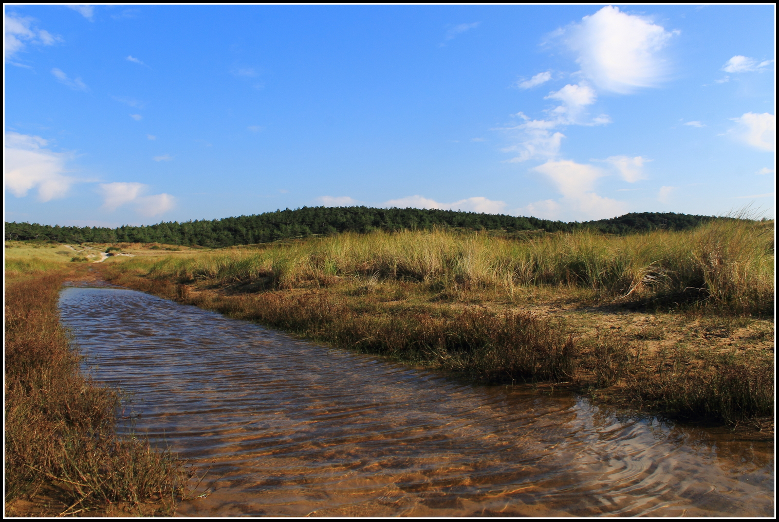 Achter de duinen.