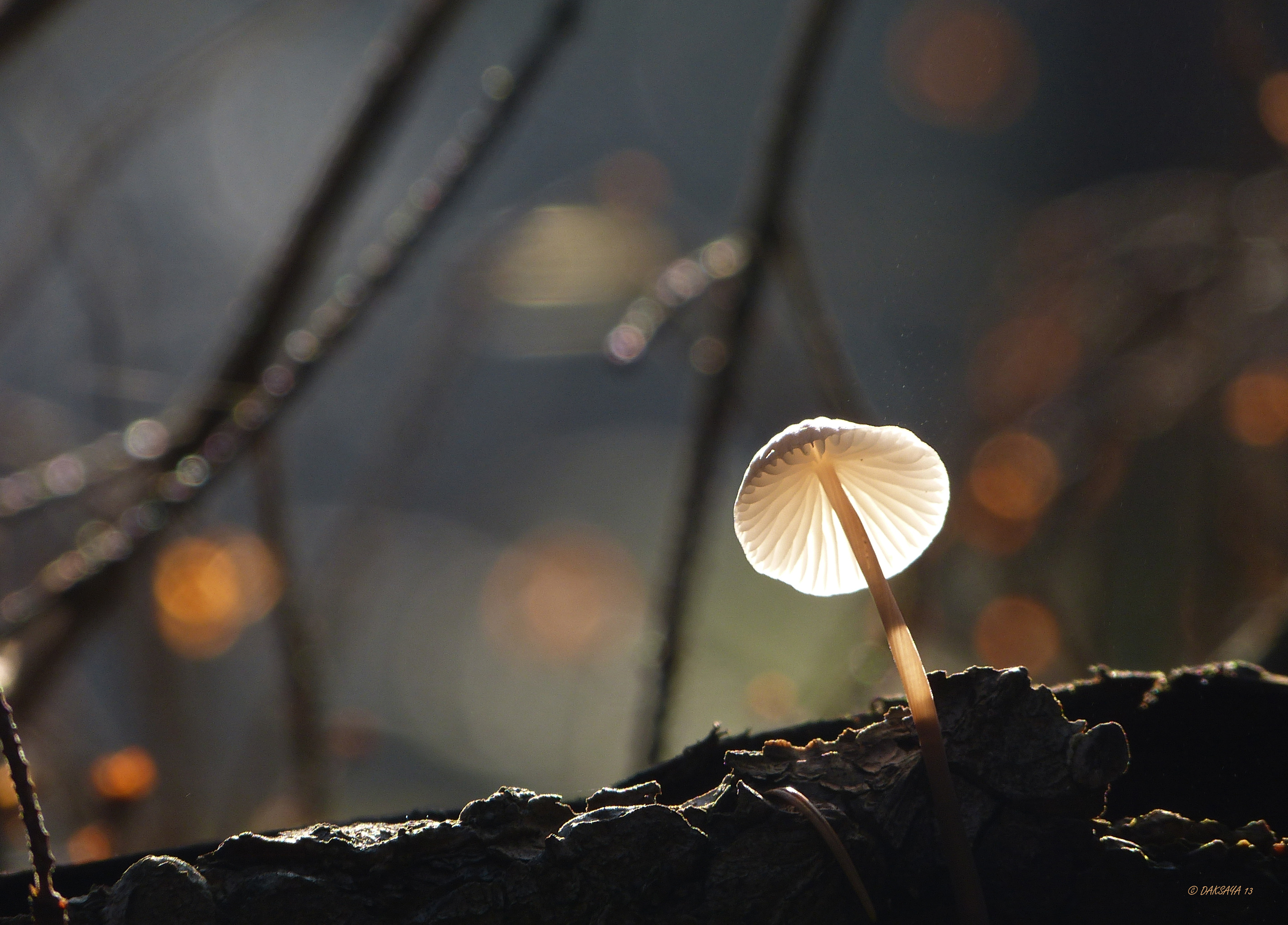 Een straaltje licht