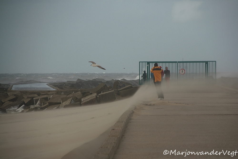 Krachtmeting van de natuur