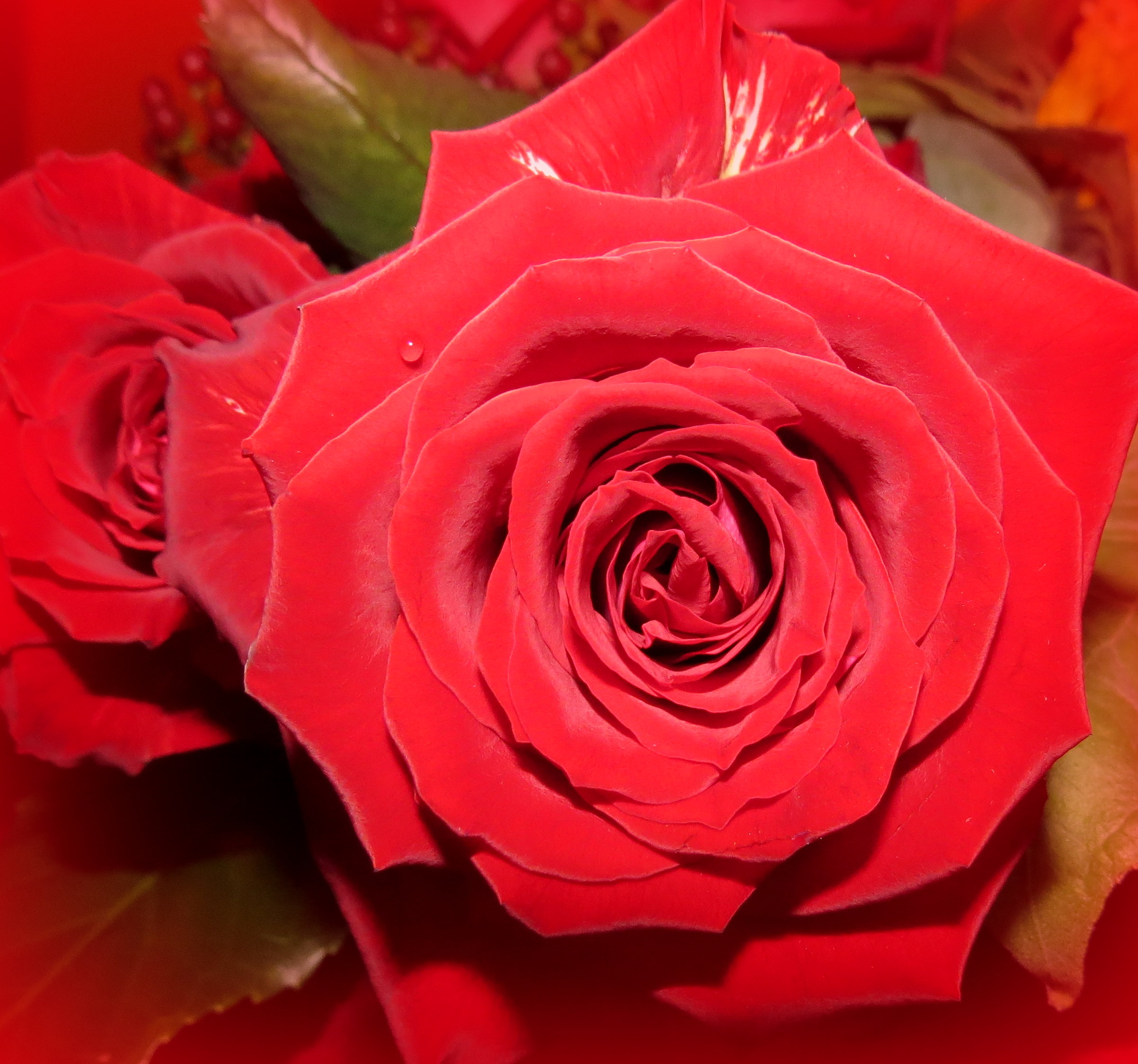 Mooi rood is niet lelijk