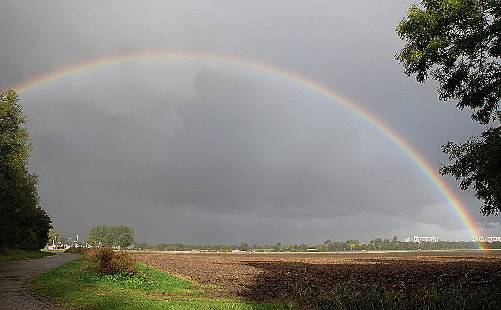 Regenboog.