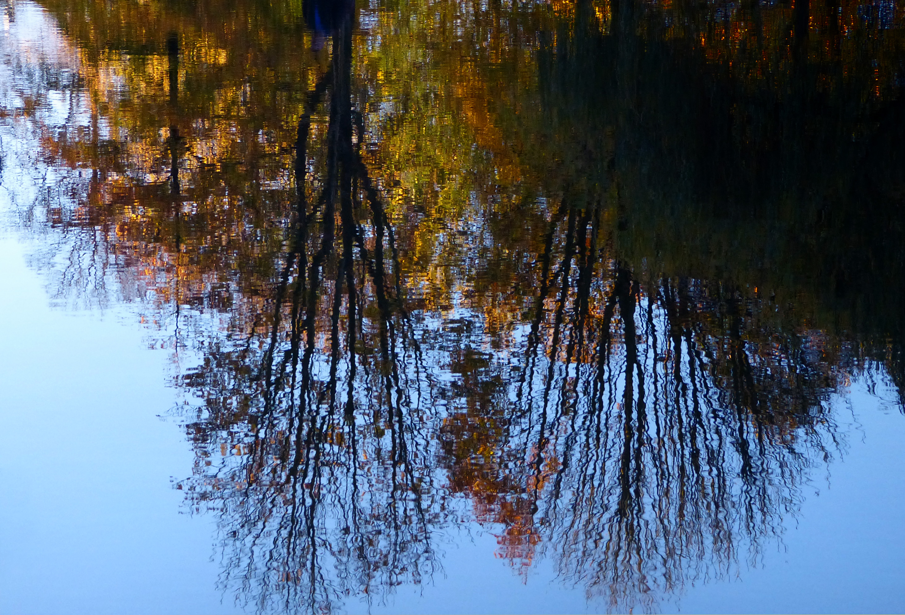 In het park (2)