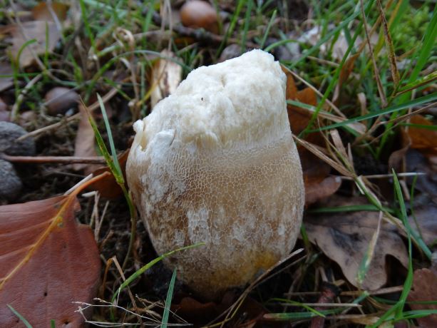 Nog even van een andere kant